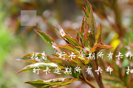 招商銀行卡逾期所有卡都會扣錢嗎-招商銀行卡逾期所有卡都會扣錢嗎怎么辦