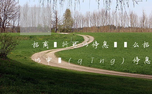 招商銀行可以停息掛賬么(招商銀行信用卡可以申請(qǐng)停息掛賬嗎)