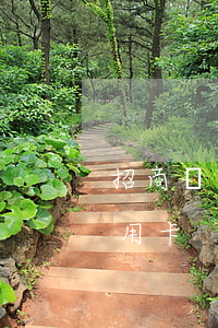 招商銀行如何停息還款-招商銀行如何停信用卡
