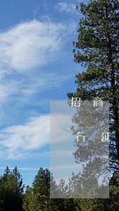 招商銀行如果逾期沒(méi)還款(招商銀行延期還款)