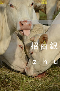 招商銀行客戶說逾期已經(jīng)轉(zhuǎn)到法務(wù)-招商銀行客戶說逾期已經(jīng)轉(zhuǎn)到法務(wù)公司