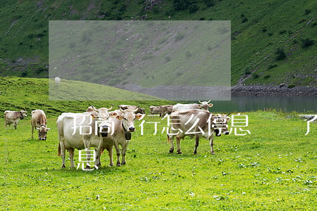 招商銀行怎么停息掛賬了沒-招行有沒有停息掛賬