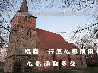 招商銀行怎么查信用卡有效期（招行信用卡怎么看逾期多久）