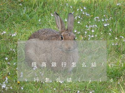 招商銀行怎么結(jié)束分期-招商銀行怎么結(jié)束分期還款