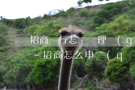 招商銀行怎樣辦理個(gè)性化分期還款-招商怎么申請(qǐng)個(gè)性化分期