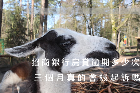 招商銀行房貸逾期多少次(招商銀行欠款逾期三個月真的會被起訴嗎)
