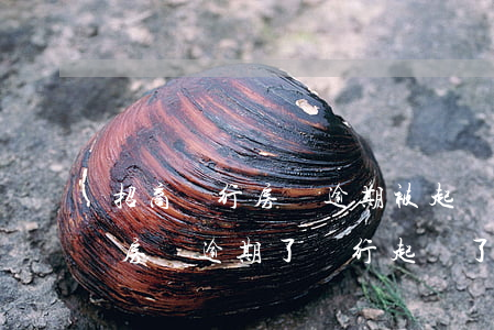 招商銀行房貸逾期被起訴怎么辦-招商銀行房貸逾期了銀行起訴了可以撤訴嗎