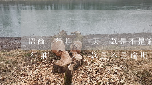 招商銀行推遲一天還款是不是逾期-招商銀行推遲一天還款是不是逾期了