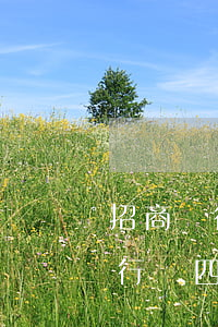招商銀行是國(guó)企還是私企（招商銀行與四大行差距）