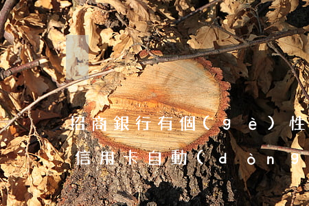 招商銀行有個(gè)性化還款嗎(招商銀行信用卡自動(dòng)還款)