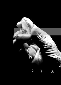 招商銀行有沒有停息掛賬業(yè)務(wù)上海-招行停息掛賬條件