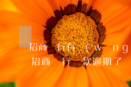 招商銀行有網(wǎng)貸逾期怎么辦(在招商銀行貸款逾期了,銀行能協(xié)商通過嗎)