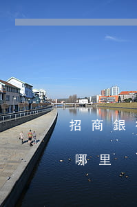 招商銀行查詢逾期還款(招商銀行查賬還款在哪里)