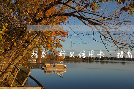 招商銀行欠信用卡錢(招商銀行欠債太多了)