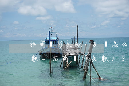 招商銀行欠款18萬怎么協(xié)商還款-招商銀行欠款18萬怎么協(xié)商還款金額
