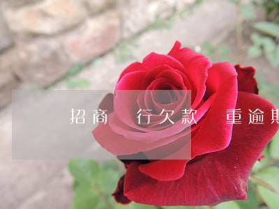 招商銀行欠款嚴重逾期怎么辦