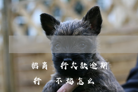 招商銀行欠款逾期沒錢還怎么處理-招商銀行還不起怎么辦