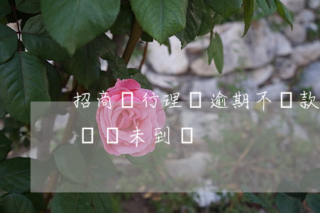 招商銀行理財逾期不還款(招商銀行理財贖回遲遲未到賬)