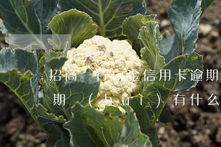招商銀行白金信用卡逾期(招商銀行信用卡逾期會(huì)有什么后果)
