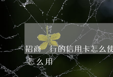 招商銀行的信用卡怎么使用（招商信用卡利息怎么用）
