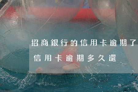 招商銀行的信用卡逾期了,要全額還清嗎（招商信用卡逾期多久還）