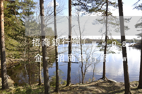 招商銀行網(wǎng)貸提前還款扣違約金-招商銀行網(wǎng)貸提前還款扣違約金嗎