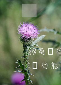 招商銀行能不能協(xié)商還款-招商銀行能不能協(xié)商還款電話