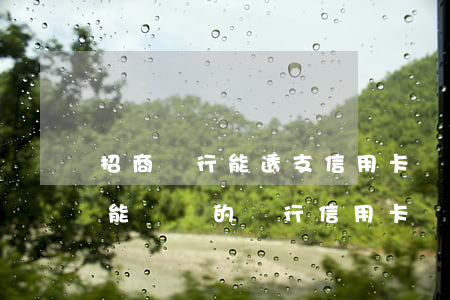 招商銀行能透支信用卡嗎(有招商銀行信用卡能辦別的銀行信用卡嗎)