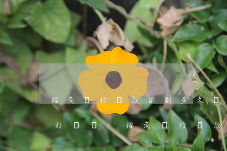 招商銀行貸款逾期多久會(huì)給家人打電話-招商銀行貸款逾期多久會(huì)給家人打電話催款