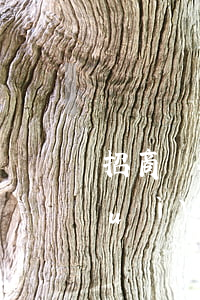 招商銀行逾期13天會(huì)不會(huì)被起訴-招商銀行逾期13天會(huì)不會(huì)被起訴呢