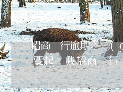 招商銀行逾期2個(gè)月打電話告訴我要起訴我（招商銀行說(shuō)是要起訴我逾期）