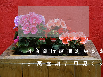 招商銀行逾期3萬6起訴了-招商銀行欠款3萬 逾期7月 現(xiàn)在銀行說要起訴我 怎么辦