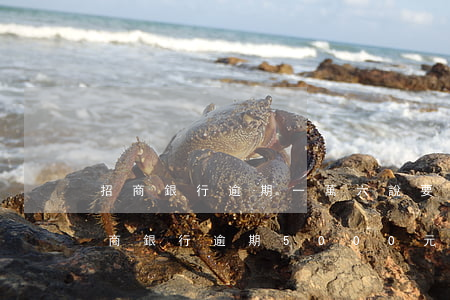 招商銀行逾期一萬六說要起訴是不是真的（招商銀行逾期5000元多久會(huì)被起訴）
