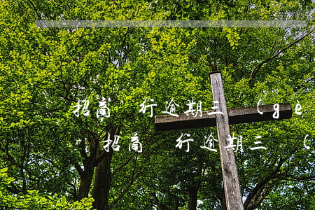 招商銀行逾期三個(gè)月要寄函件簽字-招商銀行逾期三個(gè)月要寄函件簽字嗎