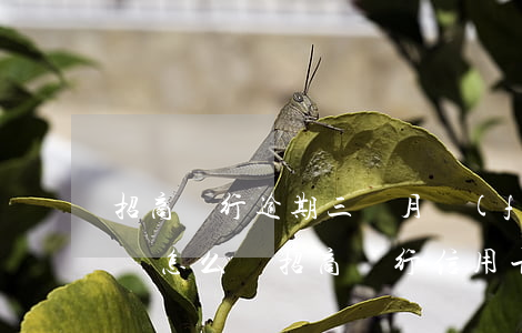 招商銀行逾期三個月發(fā)短信說要起訴怎么辦（招商銀行信用卡發(fā)了逾期短信）