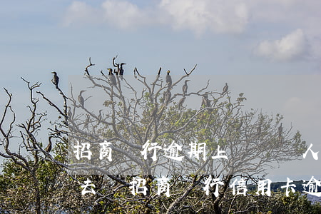 招商銀行逾期上門沒見人 還會(huì)再去嗎（招商銀行信用卡逾期會(huì)上門要嗎）