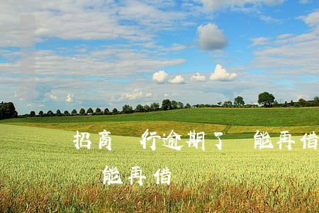 招商銀行逾期了還能再借嗎(招商銀行逾期了還能再借嗎)