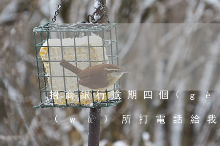 招商銀行逾期四個(gè)月,今天律師事務(wù)所打電話給我（招行信用卡逾期了發(fā)來(lái)律師函）