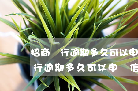 招商銀行逾期多久可以申請信用卡-招商銀行逾期多久可以申請信用卡還款
