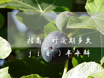 招商銀行逾期多久會凍卡(招商銀行卡凍結(jié)半年解凍嗎)