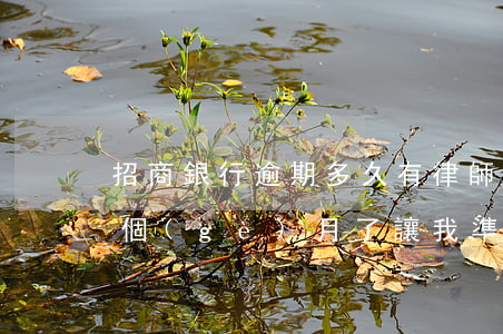 招商銀行逾期多久有律師函(招商銀行逾期三個(gè)月了,讓我準(zhǔn)備好律師)