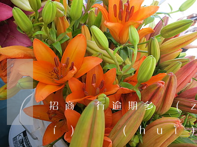 招商銀行逾期多長(zhǎng)時(shí)間會(huì)起訴