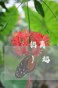 招商銀行逾期幾個(gè)月就會(huì)起訴光大-招商銀行逾期幾個(gè)月就會(huì)起訴光大銀行嗎