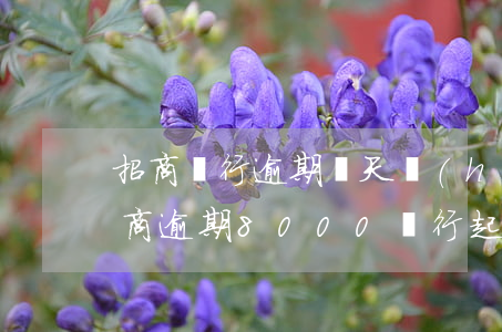 招商銀行逾期幾天會(huì)起訴光大(招商逾期8000銀行起訴我了)