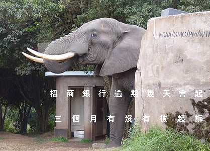 招商銀行逾期幾天會起訴招商 招商銀行逾期三個月有沒有被起訴過的