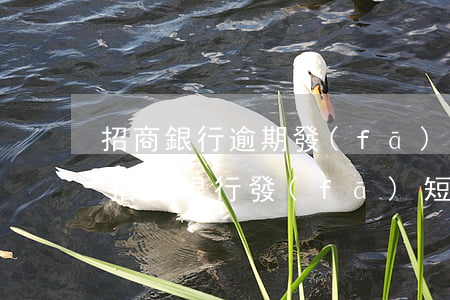招商銀行逾期發(fā)短信說要依法起訴(招商銀行發(fā)短信訴訟)