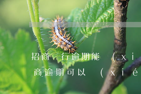 招商銀行逾期能協(xié)商還款嗎-招商逾期可以協(xié)商還款嗎