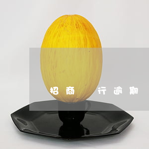招商銀行逾期訴訟材料(招商銀行訴訟流程)