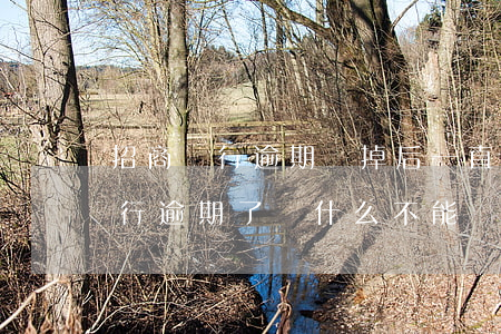 招商銀行逾期還掉后一直不能分期-招商銀行逾期了為什么不能賬單分期了