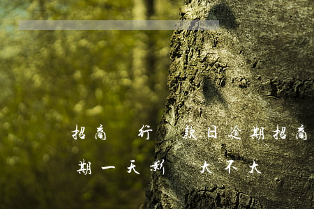 招商銀行還款日逾期(招商銀行信用卡還款逾期一天影響大不大)